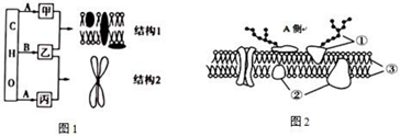 菁優(yōu)網(wǎng)