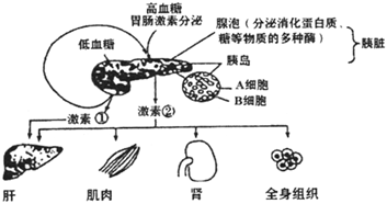 菁優(yōu)網