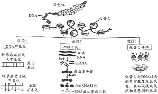 菁優(yōu)網