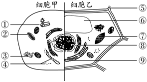 菁優(yōu)網