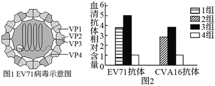 菁優(yōu)網