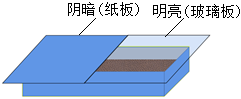 菁優(yōu)網