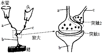 菁優(yōu)網(wǎng)