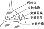 菁優(yōu)網