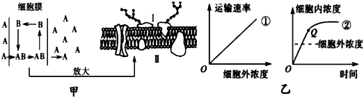 菁優(yōu)網(wǎng)