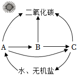 菁優(yōu)網(wǎng)