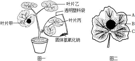 菁優(yōu)網(wǎng)