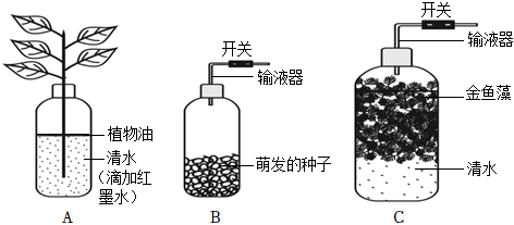 菁優(yōu)網(wǎng)