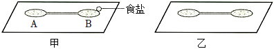 菁優(yōu)網(wǎng)