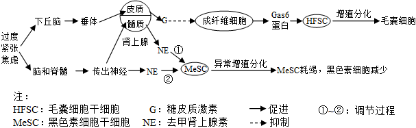 菁優(yōu)網