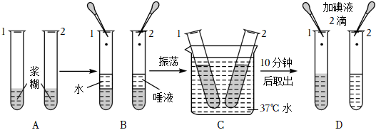 菁優(yōu)網