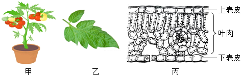 菁優(yōu)網(wǎng)