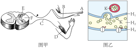 菁優(yōu)網(wǎng)