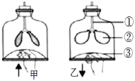 菁優(yōu)網(wǎng)