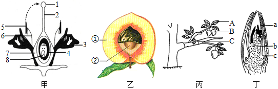 菁優(yōu)網(wǎng)