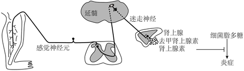 菁優(yōu)網