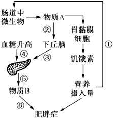 菁優(yōu)網(wǎng)