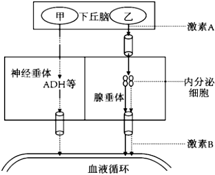 菁優(yōu)網(wǎng)