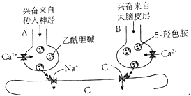 菁優(yōu)網(wǎng)