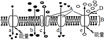 菁優(yōu)網(wǎng)