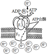 菁優(yōu)網(wǎng)