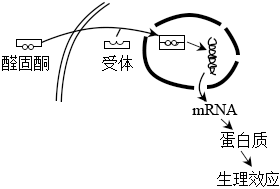 菁優(yōu)網(wǎng)