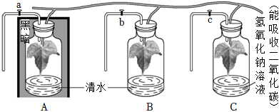 菁優(yōu)網