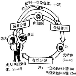 菁優(yōu)網