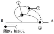 菁優(yōu)網(wǎng)