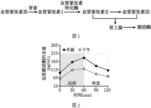 菁優(yōu)網