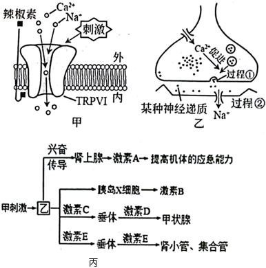 菁優(yōu)網(wǎng)