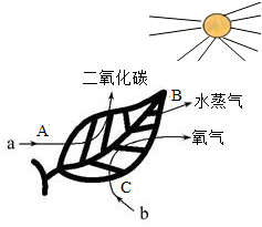 菁優(yōu)網(wǎng)