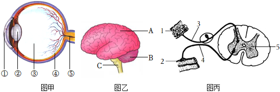 菁優(yōu)網