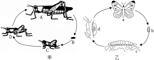 菁優(yōu)網(wǎng)