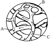 菁優(yōu)網(wǎng)