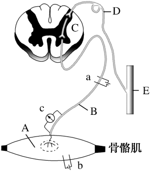 菁優(yōu)網(wǎng)