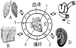 菁優(yōu)網(wǎng)