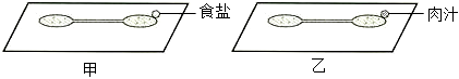 菁優(yōu)網(wǎng)