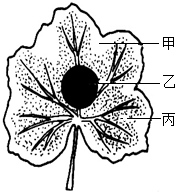 菁優(yōu)網(wǎng)