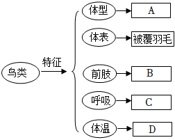 菁優(yōu)網(wǎng)