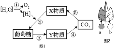 菁優(yōu)網(wǎng)