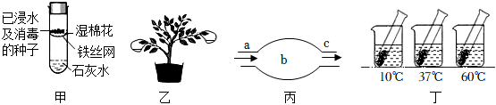 菁優(yōu)網(wǎng)