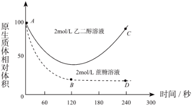 菁優(yōu)網