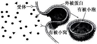 菁優(yōu)網