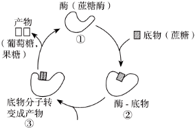 菁優(yōu)網