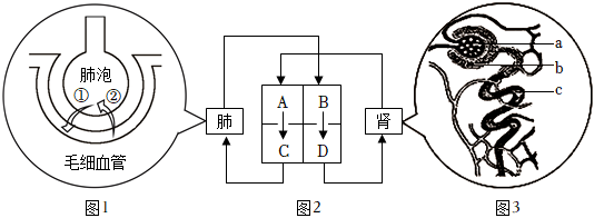 菁優(yōu)網(wǎng)