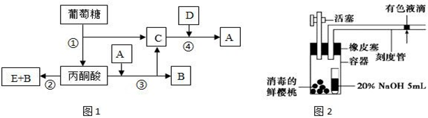 菁優(yōu)網