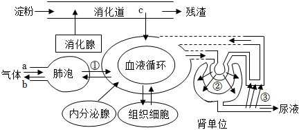 菁優(yōu)網(wǎng)