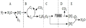 菁優(yōu)網(wǎng)