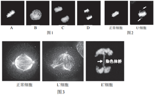 菁優(yōu)網